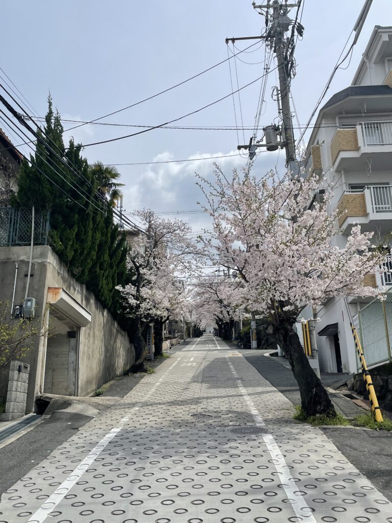 石切桜坂