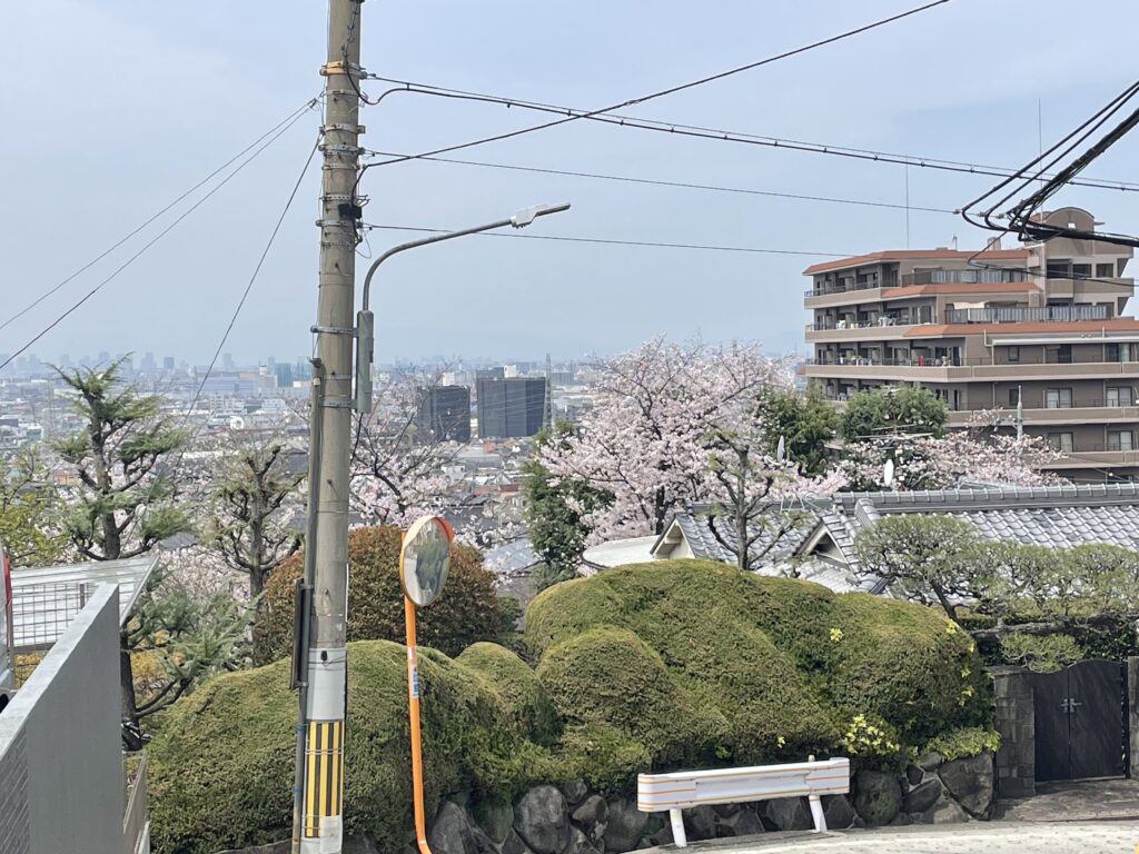 石切桜坂から見た景色