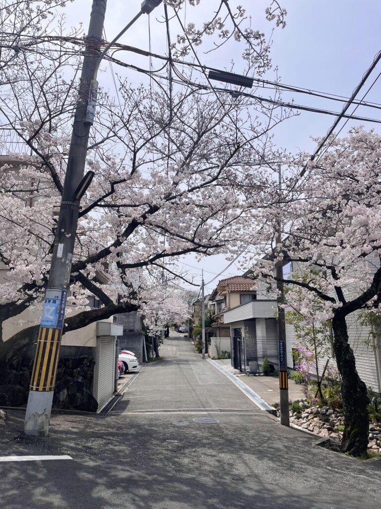 石切桜坂