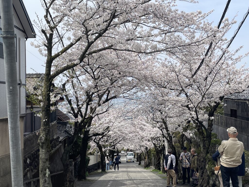 石切桜坂