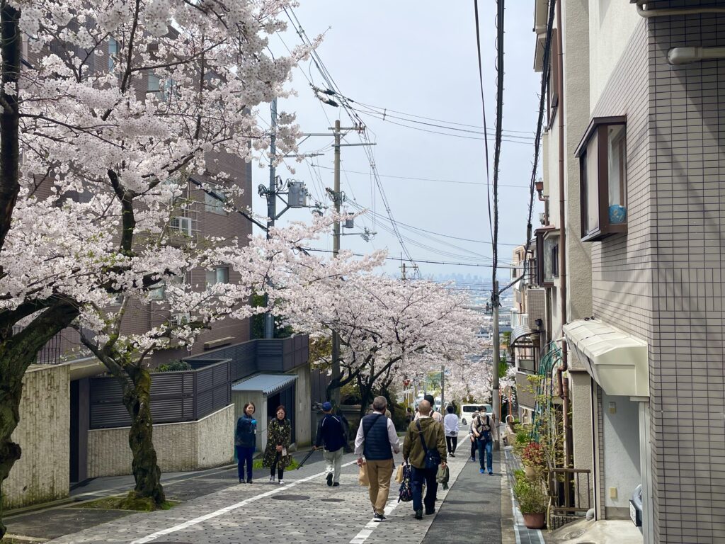 石切桜坂